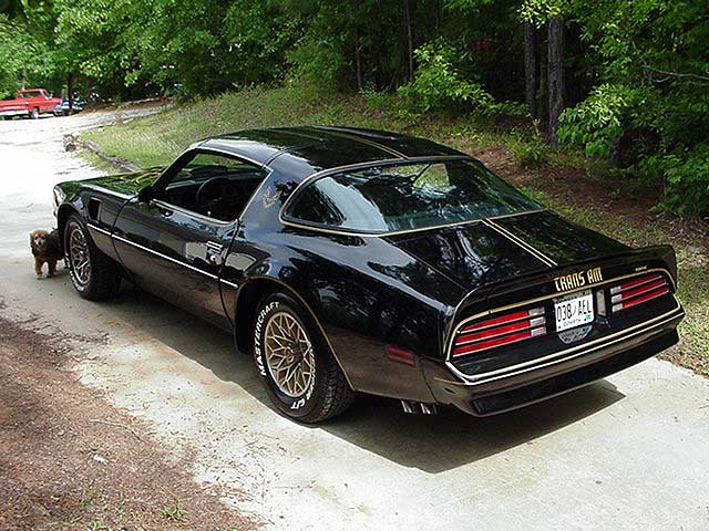 http://www.allmusclecars.com/pontiac/77tadr.jpg