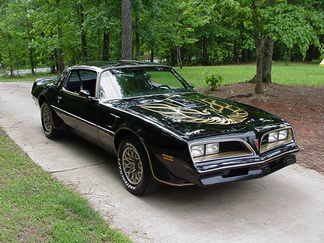 http://www.allmusclecars.com/pontiac/77tapf.jpg